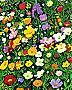 Field of Flowers