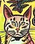 Keen Cat
