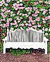 Lovers' Bench